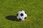 国际足球联合会FIFA官方Logo